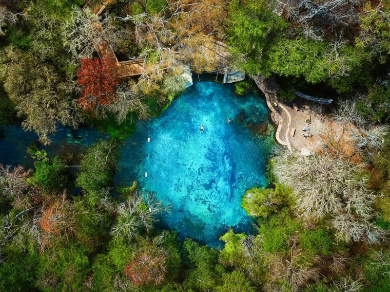 Aguas termales en Florida Ichetucknee