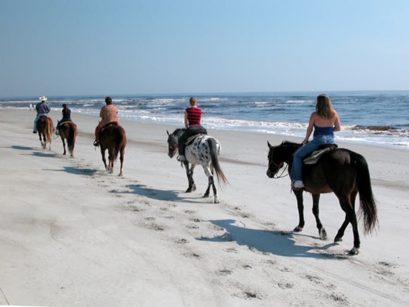 Amelia Island State Park