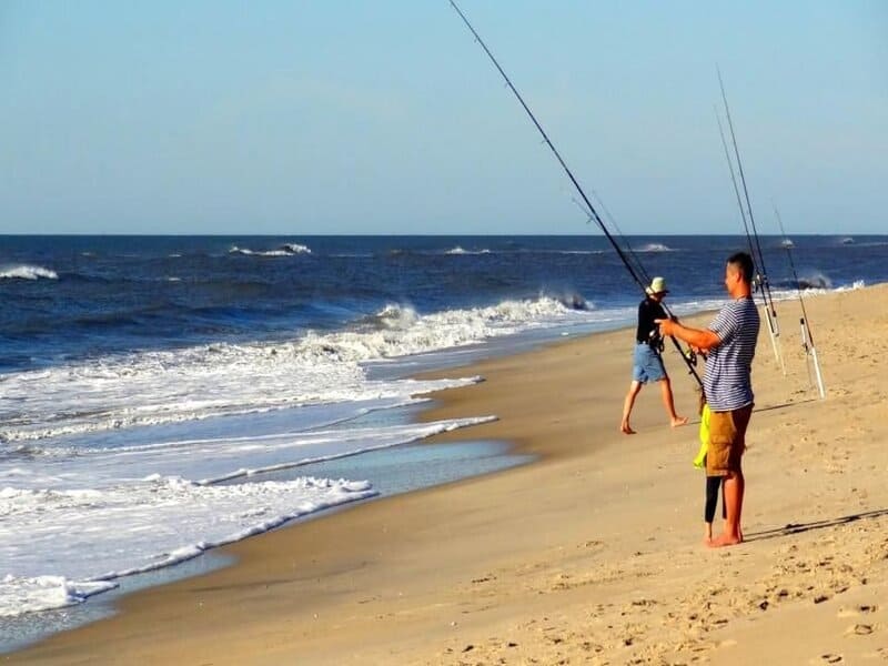 Assateague Island