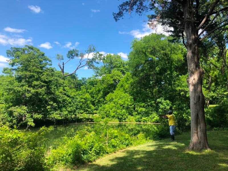 Bear Creek Nature Trail