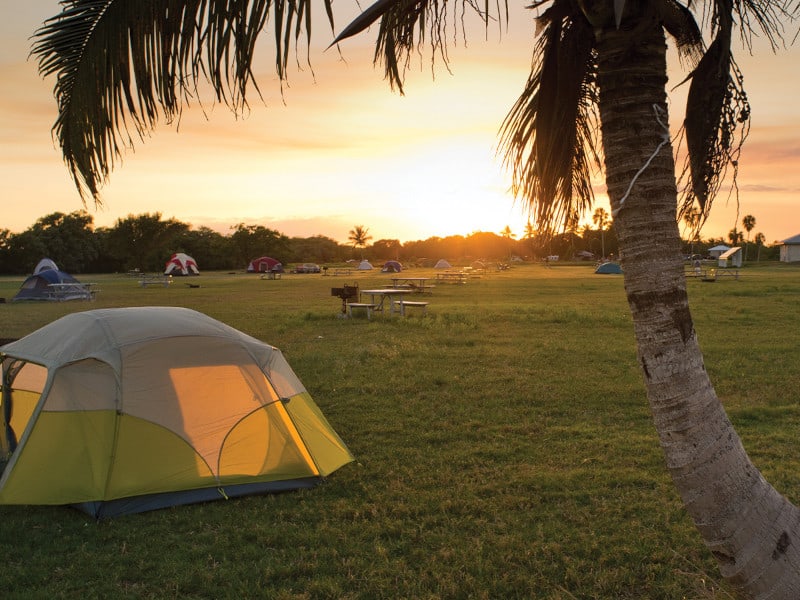 Big Cypress National Reserve