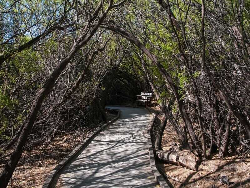 Big Morongo Canyon Preserve