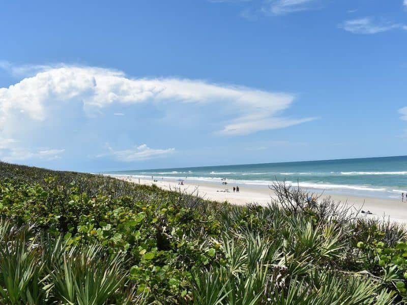 Canaveral National Seashore