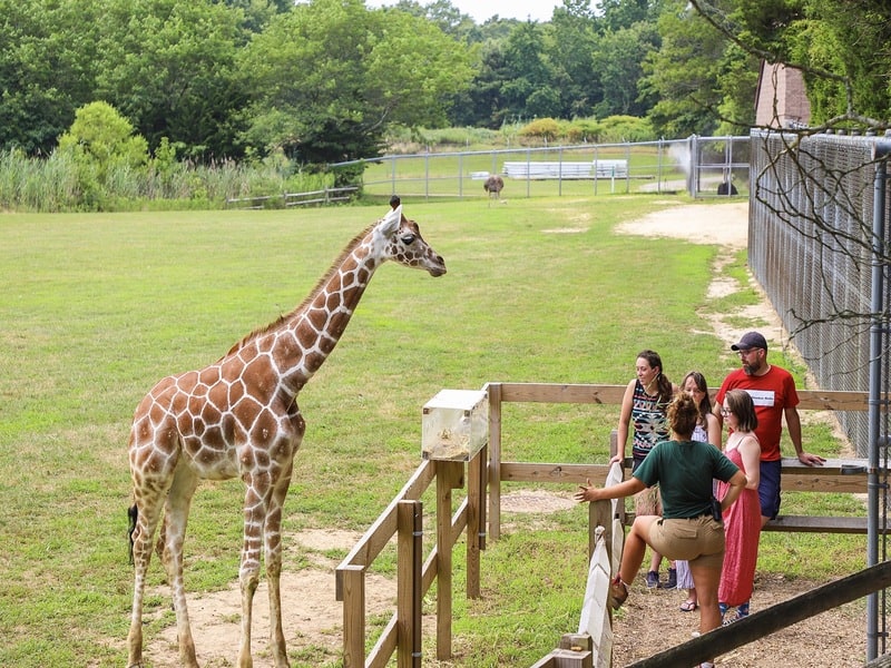 Cape May County Park & Zoo 