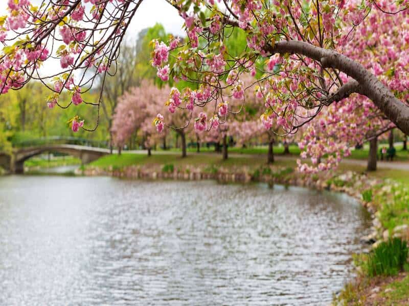 Charles River Esplanade