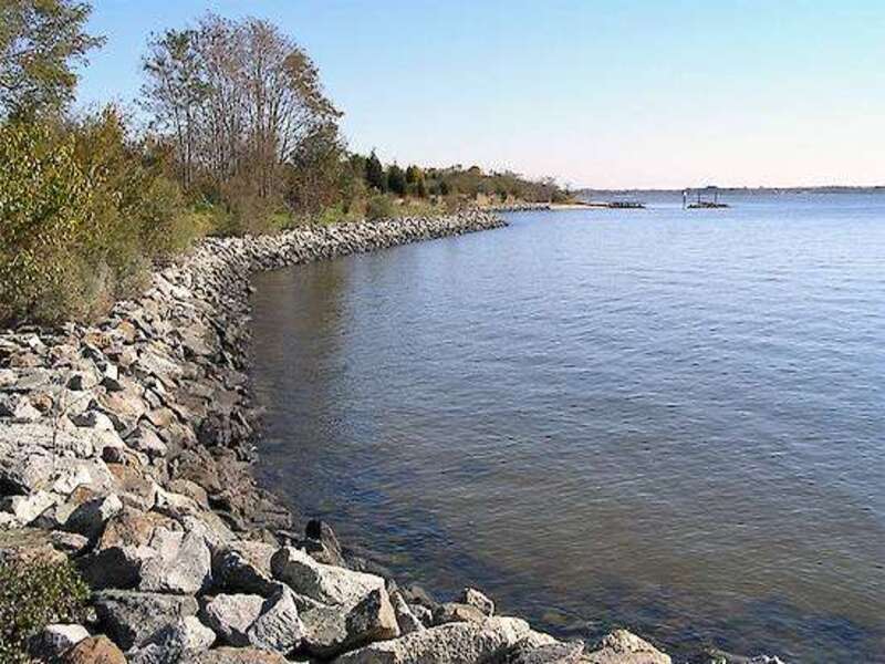 Choptank River