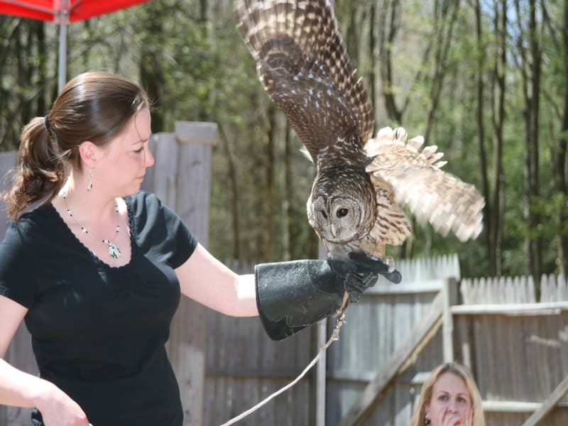 Connecticut Audubon Society Center