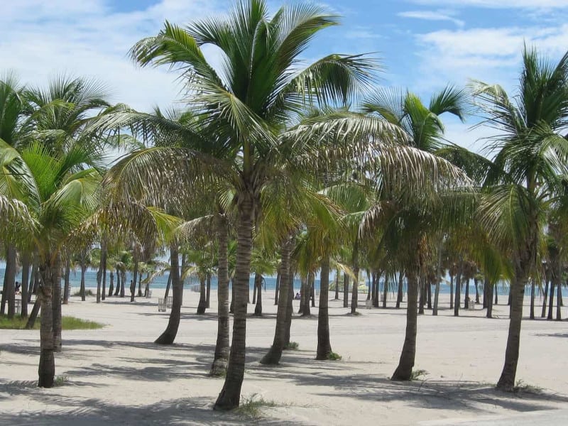 Crandon Park