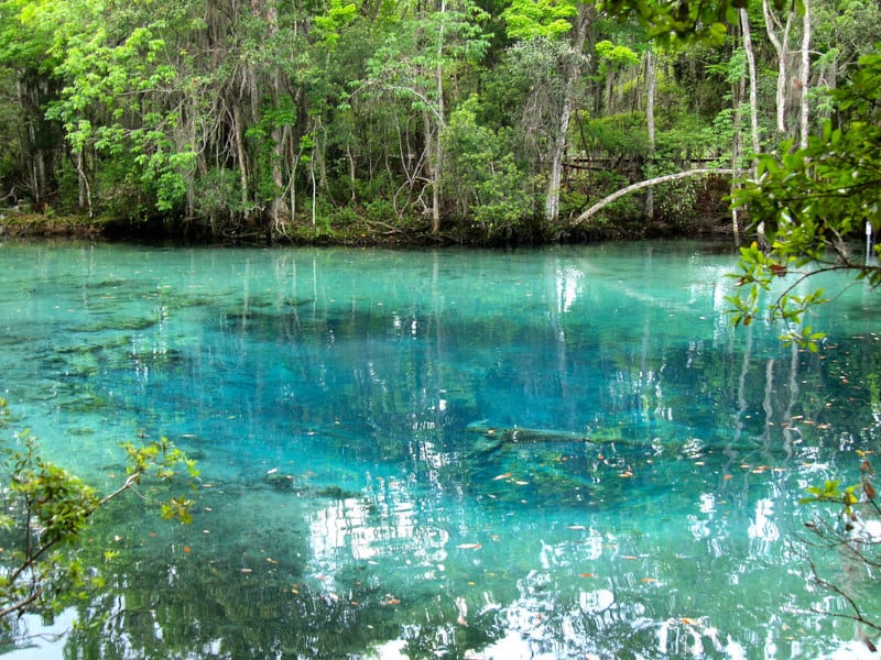 Crystal River, Tampa