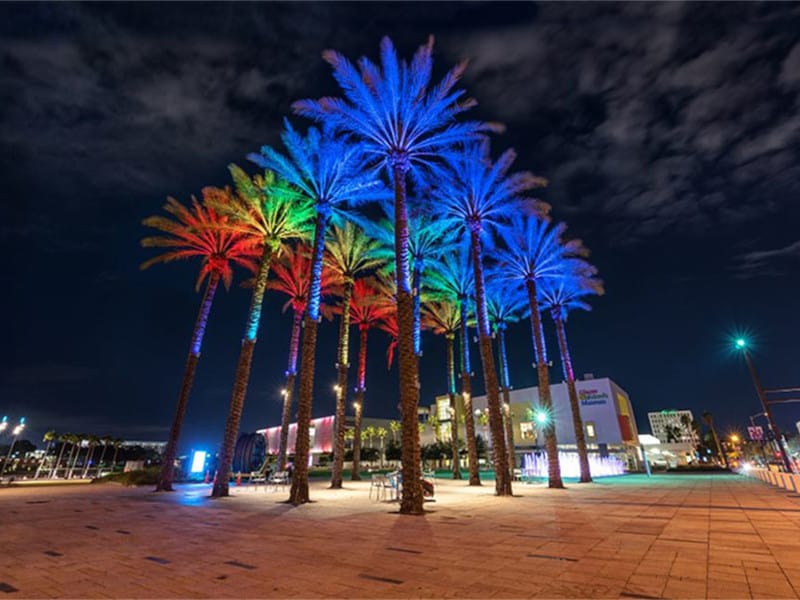 Curtis Hixon Waterfront Park