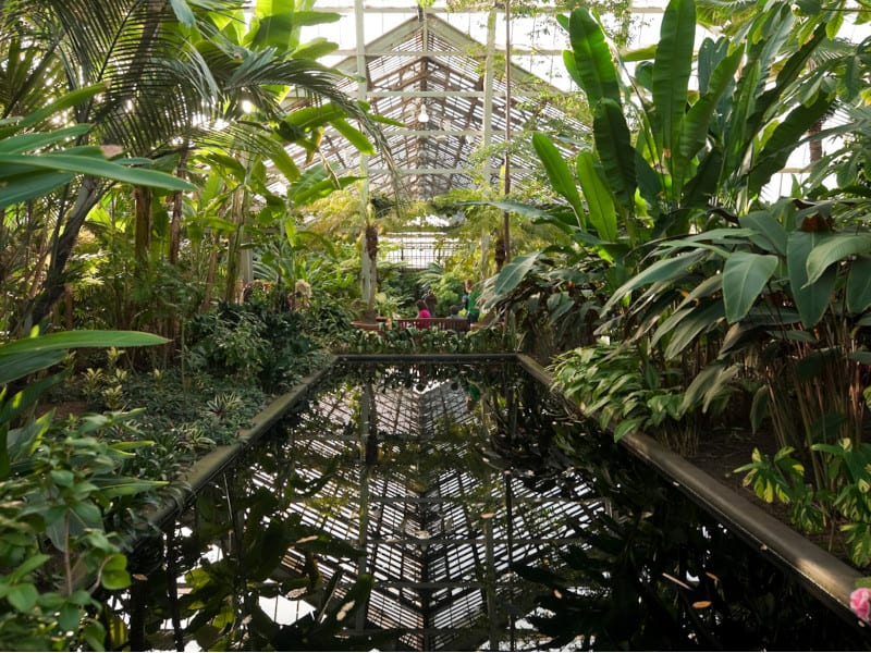 Garfield Park Conservatory