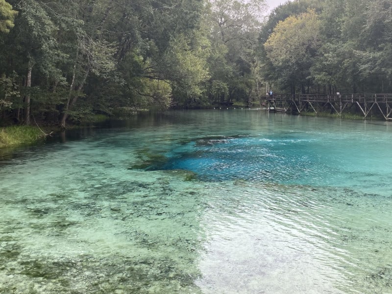 Gilchrist Blue Springs, Gilchrist