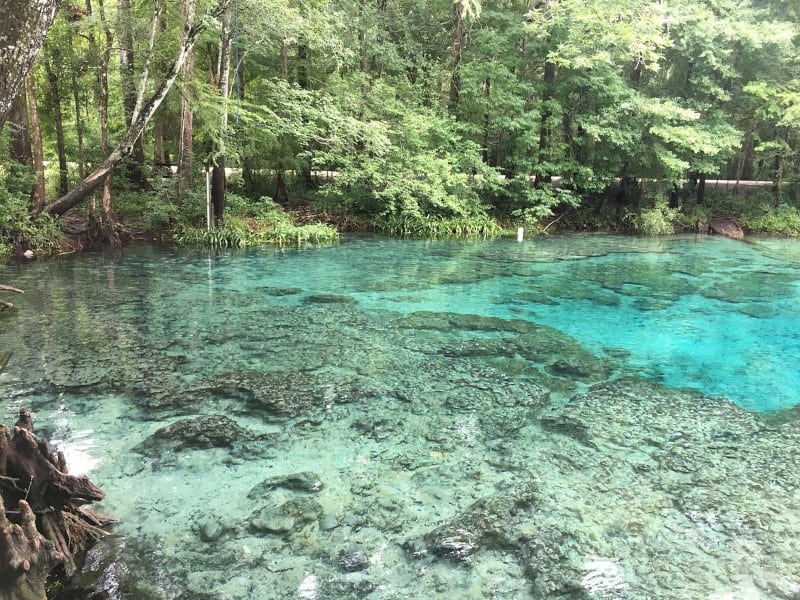 Ginnie Springs, North Port