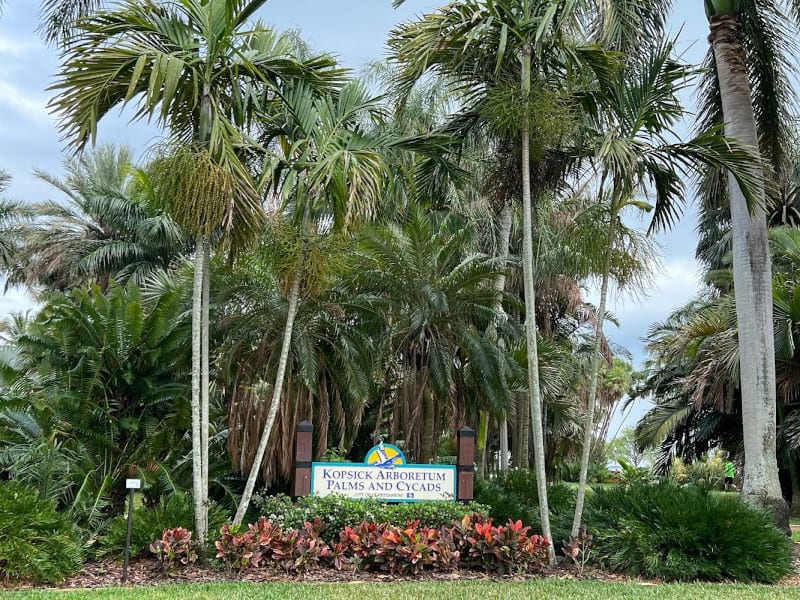 Gizella Kopsick Palm Arboretum