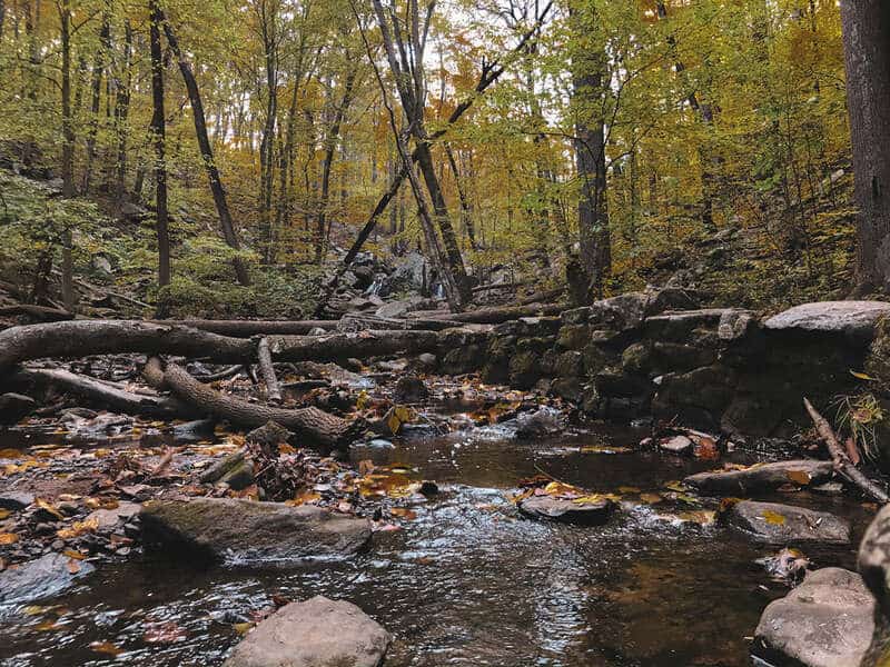 Hacklebarney State Park