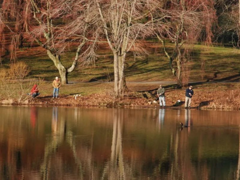 Homdel Park Pond