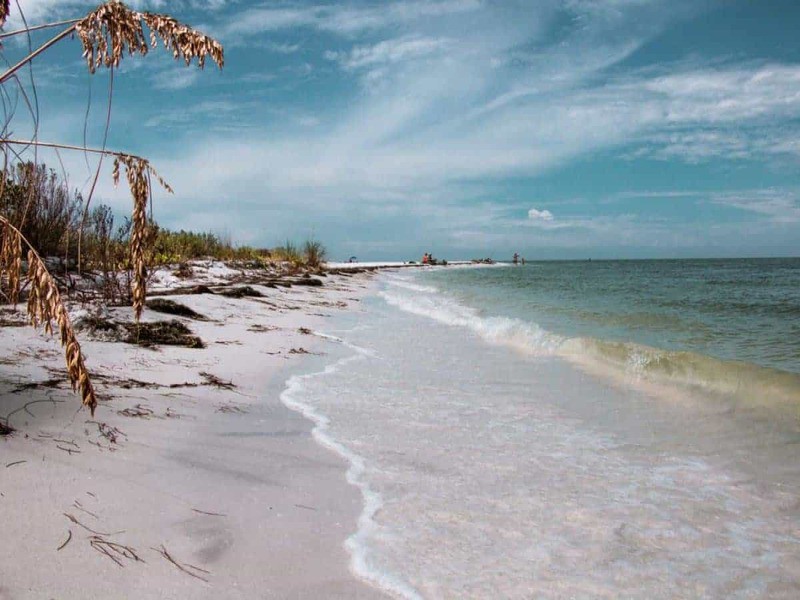 Honeymoon Island State Park