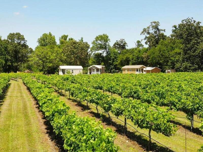 Hopewell Valley Vineyards