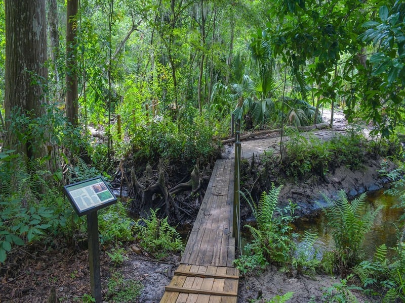 Jacksonville Arboretum & Botanical Gardens