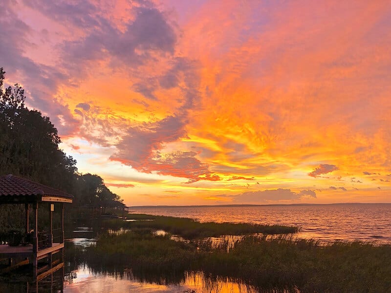 Lake Apopka