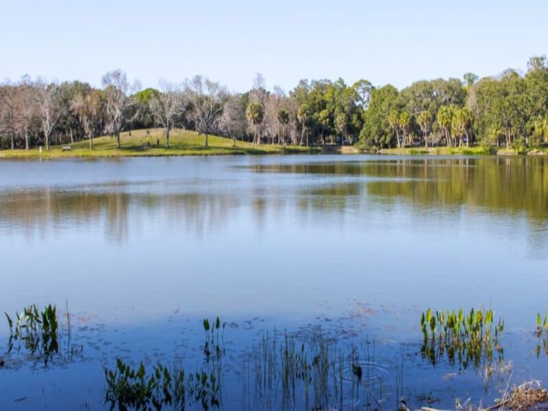 Lake Seminole-Florida