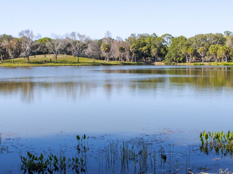 Lake Seminole