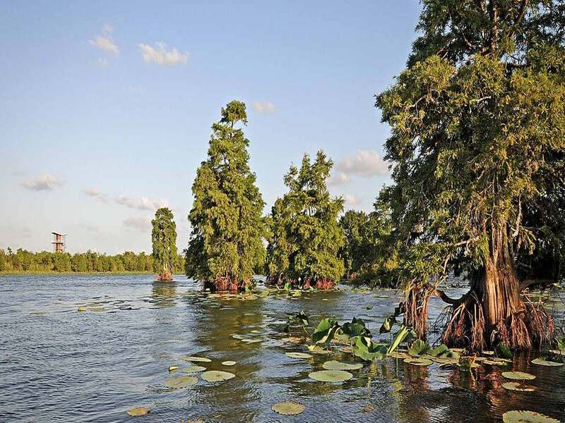 Lake Sheldon-Houston