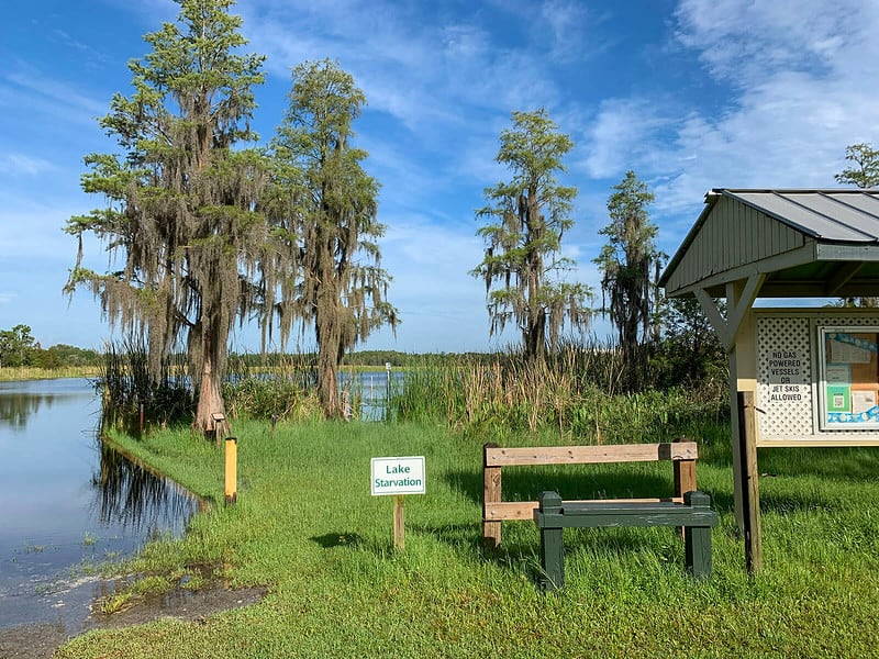 Lettuce Lake Conservation Park