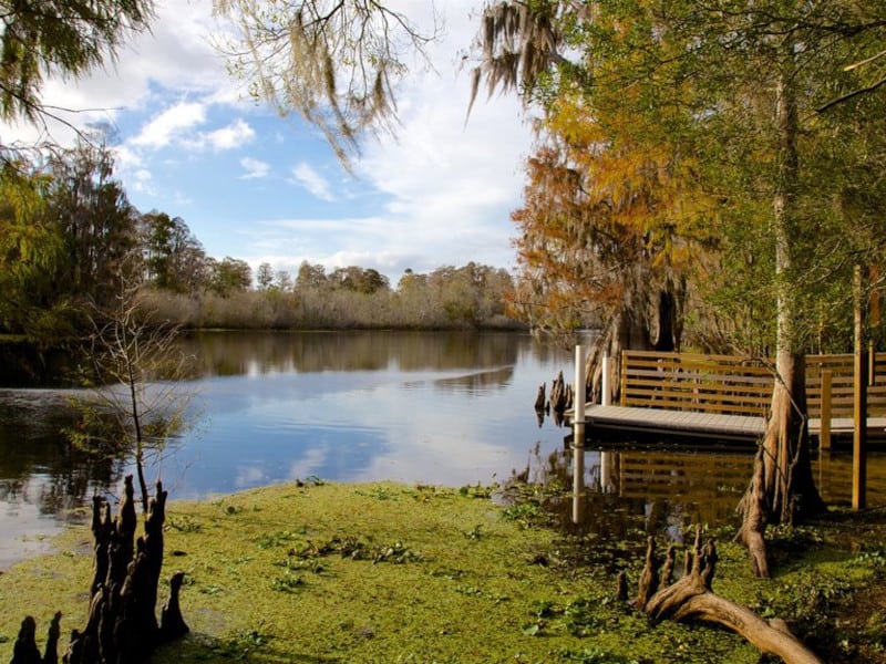 Lettuce Lake Park