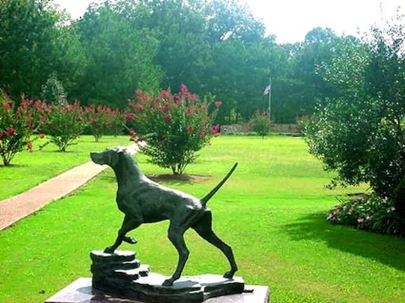 National Bird Dog Museum