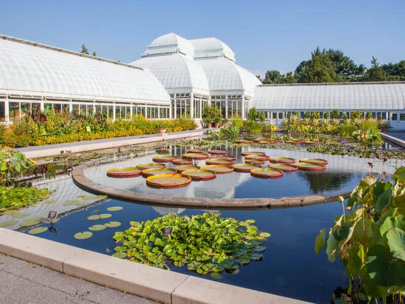 New York Botanical Garden