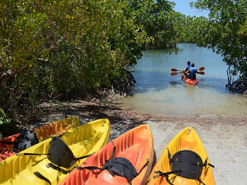 Oleta River State Park-Miami