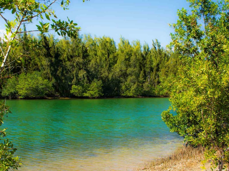 Oleta River State Park