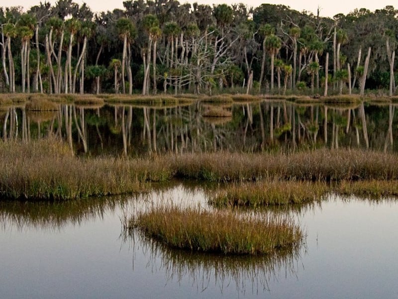 Ossabaw Island