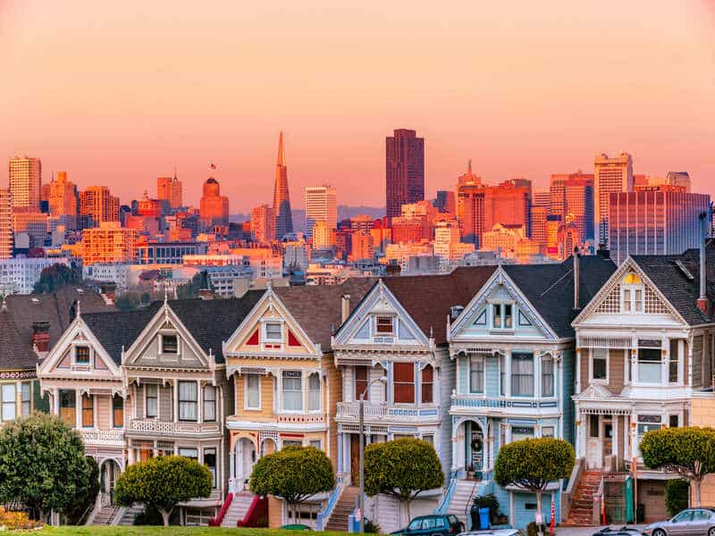 Painted Ladies