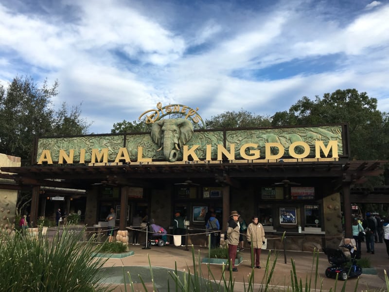 Parque de diversiones en Tampa Disney's Animal Kingdom