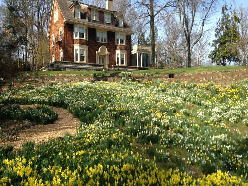 Reeves-Reed Arboretum 