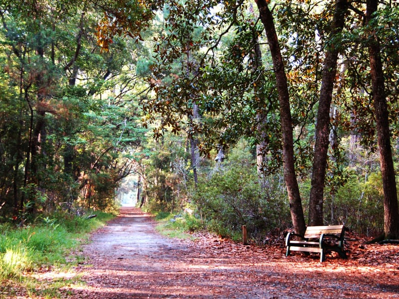 Skidaway Island State Park