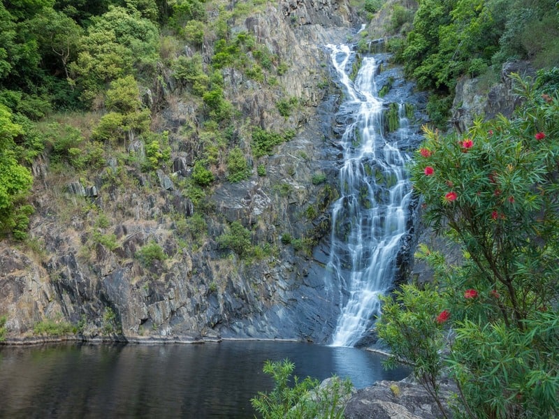 Spring Creek Swimming Hole