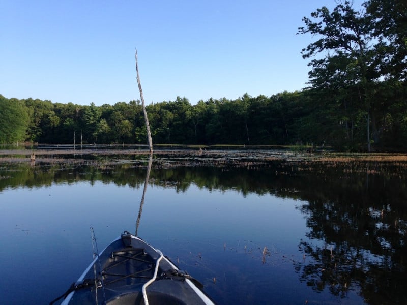 Blydenburgh County Park Stump Pond Loop