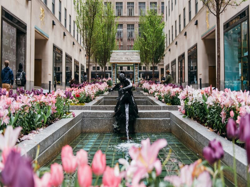 The Channel Gardens