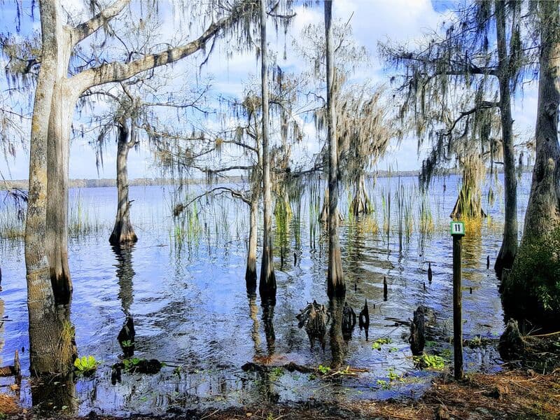 The Nature Conservancy’s Disney Wilderness Preserve