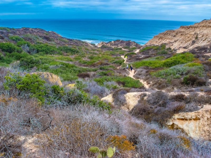 Torrey Pines State Beach Natural Reserve