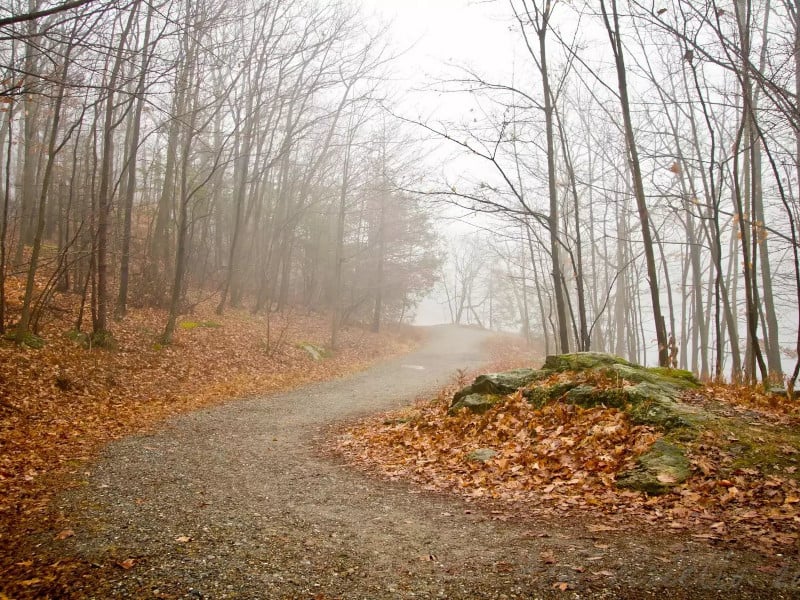 Wawayanda State Park