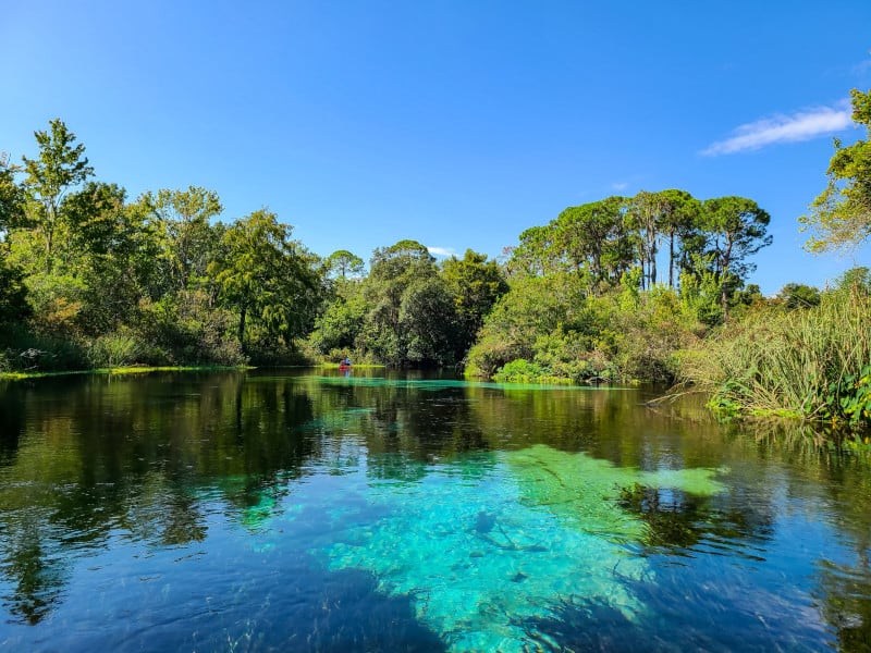 Weeki Wachee Springs