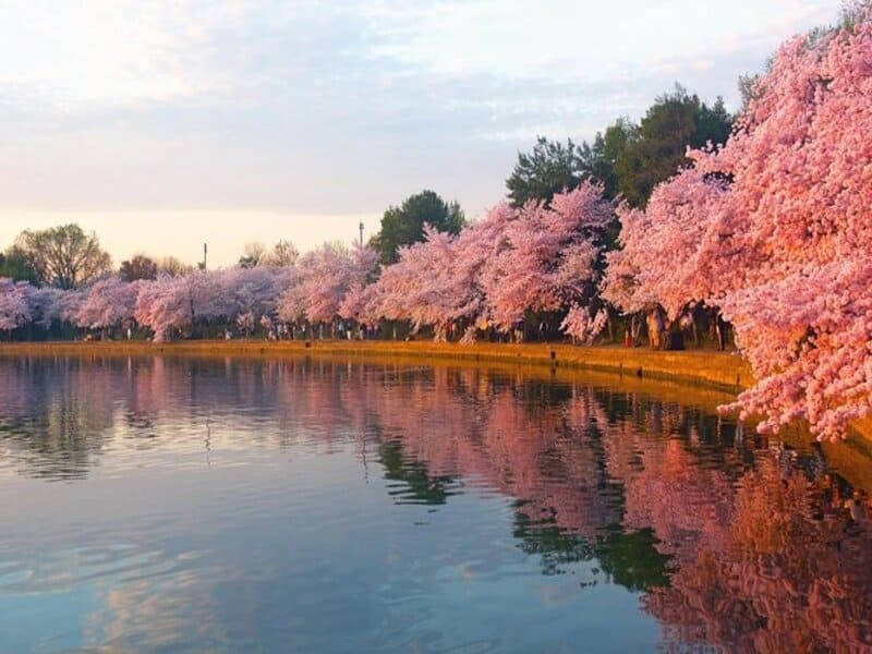 West Potomac Park