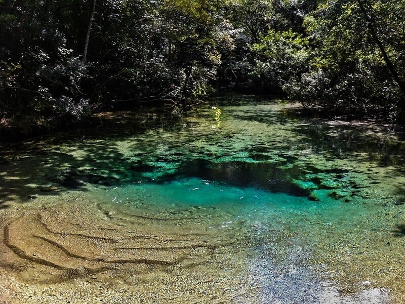 Williford Springs